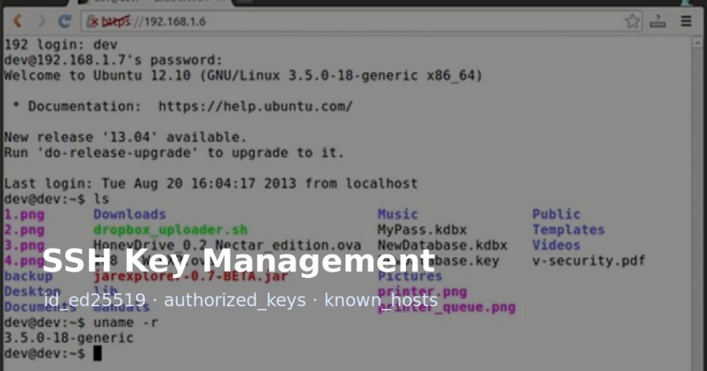 SSH web browser terminal image for SSH key management article